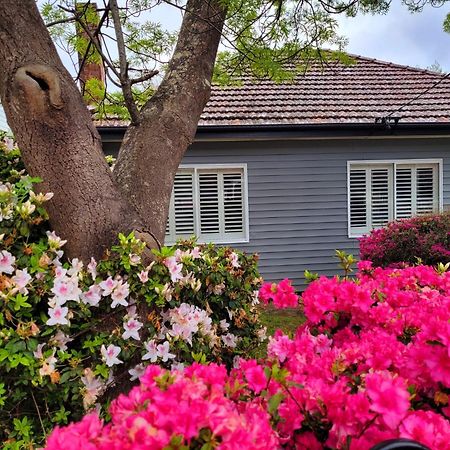 La Villette Sleeps 9 Fireplace Bbq Pet Friendly Katoomba Luaran gambar