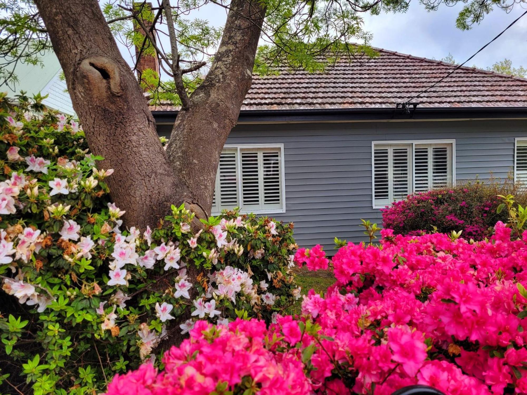 La Villette Sleeps 9 Fireplace Bbq Pet Friendly Katoomba Luaran gambar
